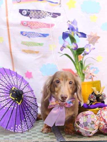 20240502サニーくん